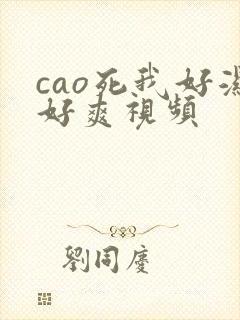 cao死我好湿好爽视频