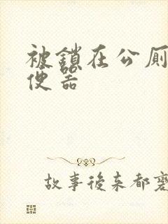 被锁在公厕当坐便器