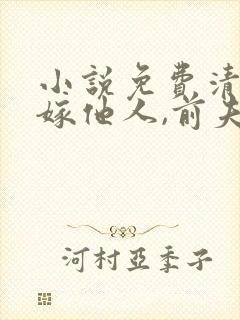 小说免费清醒改嫁他人,前夫他彻底失控