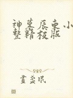 神墓辰东小说完整精校版