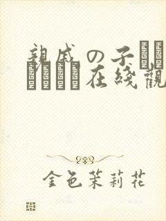 亲戚の子とお泊まりだけ在线观看封面
