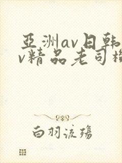 亚洲av日韩av精品老司机封面