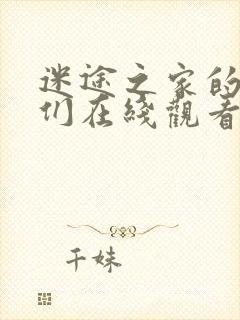 迷途之家的姐姐们在线观看免费版