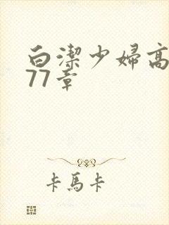 白洁少妇高义第77章封面