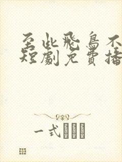 至此飞鸟不相逢短剧免费播放