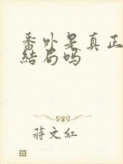 番外是真正的大结局吗