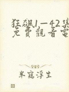 狂飙1—42集免费观看电视剧在线播放