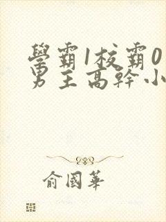 学霸1校霸0双男主高干小说