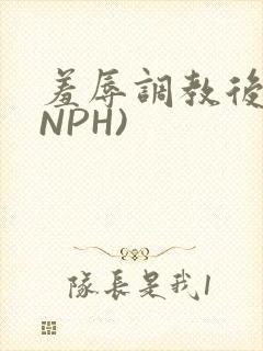羞辱调教后宫(NPH)封面