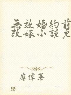 无效婚约前妻要改嫁小说免费阅读