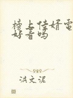 榜上佳婿电视剧好看吗封面