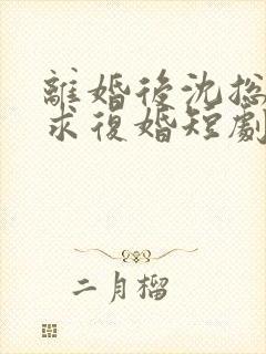 离婚后沈总天天求复婚短剧免费观看