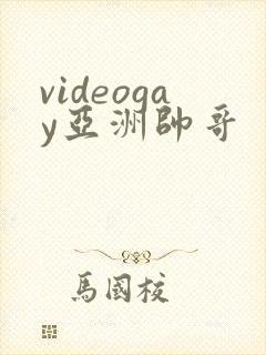 videogay亚洲帅哥