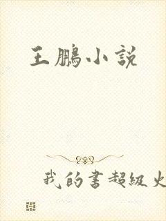 王鹏小说