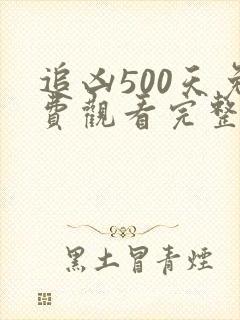 追凶500天免费观看完整版在线全集