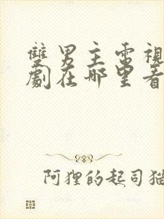 双男主电视剧韩剧在哪里看