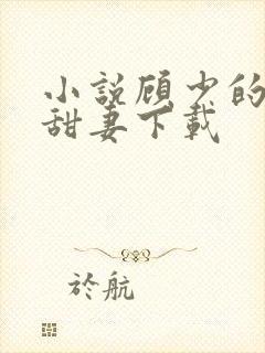 小说顾少的替嫁甜妻下载
