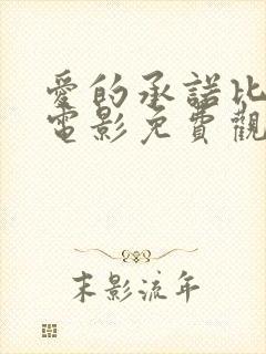 爱的承诺比利时电影免费观看中文