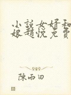 小说女婿和丈母娘赵悦免费阅读封面