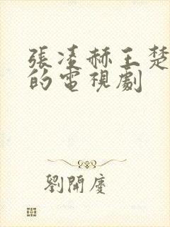 张凌赫王楚然演的电视剧