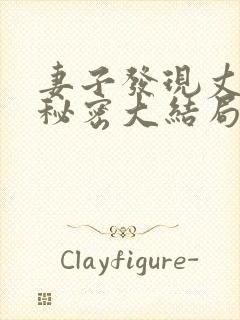 妻子发现丈夫的秘密大结局封面