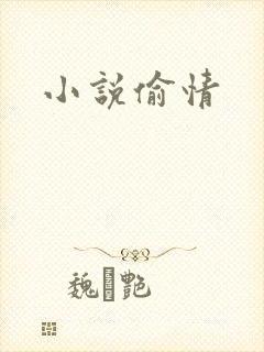 小说偷情