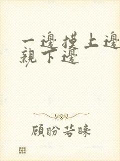 一边摸上边一边亲下边