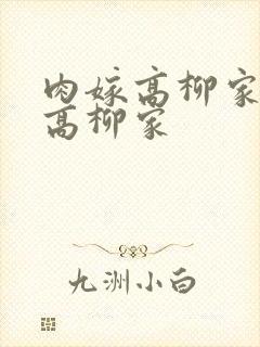 肉嫁高柳家肉嫁高柳家封面