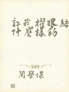 许我耀眼结局是什么样的