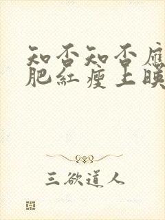 知否知否应是绿肥红瘦上映时间