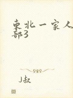 东北一家人第一部3封面