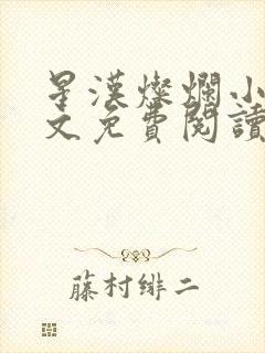 星汉灿烂小说全文免费阅读完整版