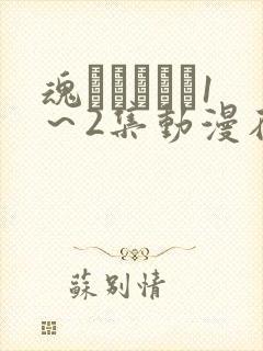 魂インサート1～2集动漫在线观看到