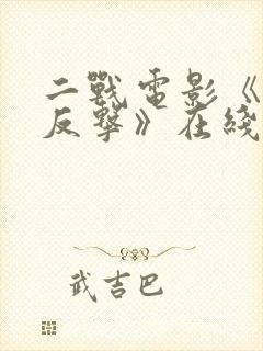 二战电影《强烈反击》在线观看