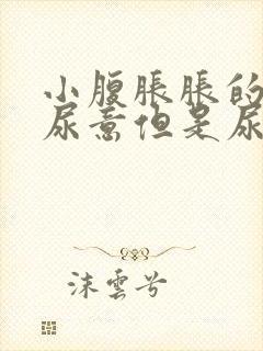 小腹胀胀的总有尿意但是尿少封面