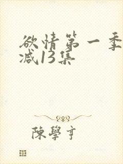 欲情第一季未删减13集