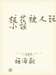 校花被人玩弄的小说封面