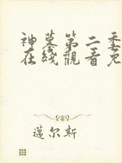 神墓第二季高清在线观看免费完整版