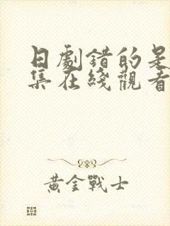 日剧错的是你全集在线观看封面