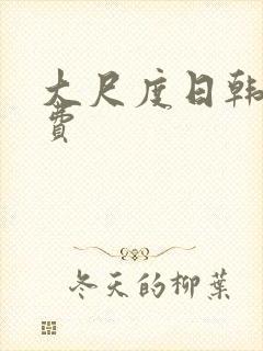 大尺度日韩剧免费