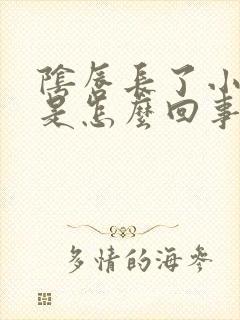 阴唇长了小颗粒是怎么回事