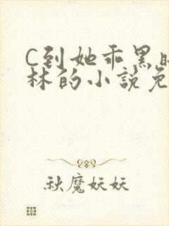 C到她乖黑暗森林的小说免费封面