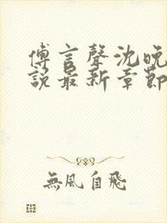 傅言声沈晚柔小说最新章节免费阅读