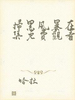 扫黑风暴在线全集免费观看完整版