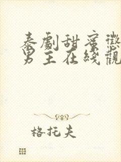 泰剧甜蜜惩罚双男主在线观看