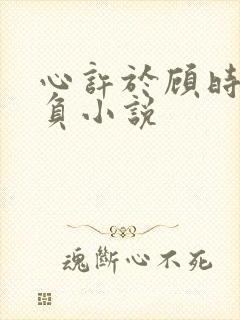 心许于顾时光不负小说