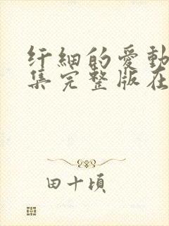 纤细的爱动漫全集完整版在线观看