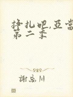 挣扎吧,亚当君第二季