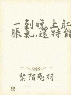 一到晚上肚子就胀气,还特能放屁是怎么回事封面