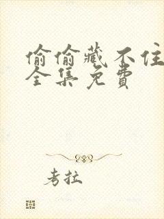 偷偷藏不住漫剧全集免费